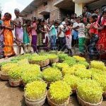बेनामी आदिवासी आस्था-धर्म की व्यथा
