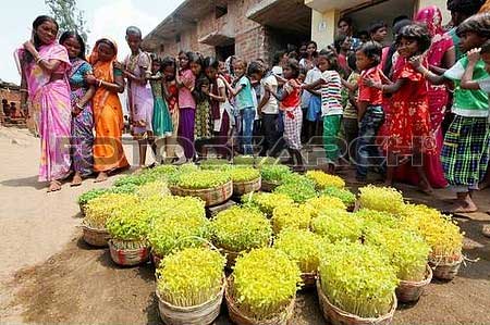 बेनामी आदिवासी आस्था-धर्म की व्यथा