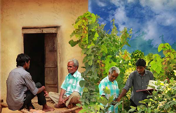 Tribal Medicine